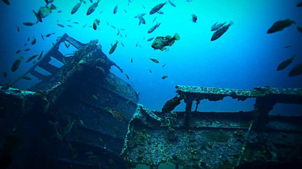🐠 Antilla Shipwreck: Aruba’s Most Iconic Snorkeling Adventure