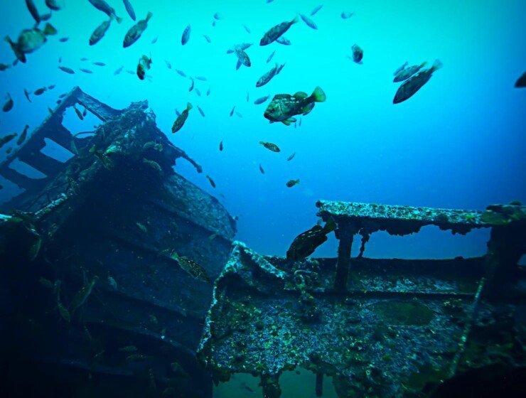 🐠 Antilla Shipwreck: Aruba’s Most Iconic Snorkeling Adventure