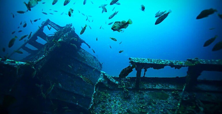 🐠 Antilla Shipwreck: Aruba’s Most Iconic Snorkeling Adventure
